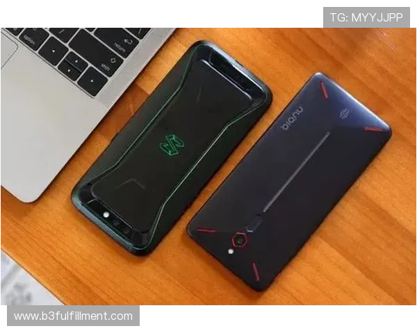 尊龙z6游戏机的环境适应性与使用场景分析,满足不同场所的游戏需求 尊龙z6游戏机的环境适应性与使用场景分析,满足不同场所的游戏需求